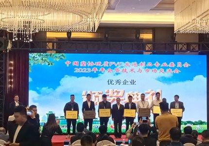 Công ty, với tư cách là đồng tổ chức, đã tham dự cuộc họp thường niên năm 2023 của Ủy ban chuyên nghiệp về các sản phẩm tạo bọt PVC cứng của Hiệp hội Nhựa Trung Quốc